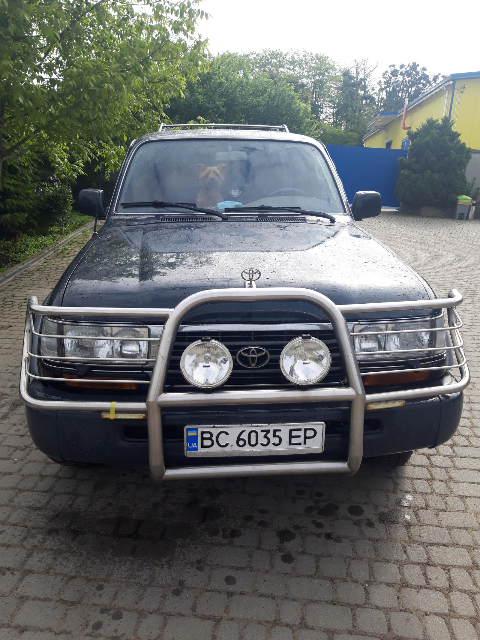 Продам Toyota Land Cruiser 80 внедорожник в Львове 1996 года