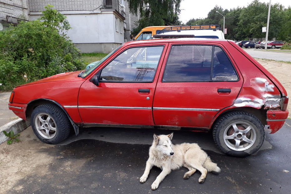 Продам Peugeot 205 1988 года в г. Новояворовск, Львовская область