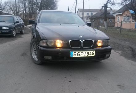 Продам BMW 530 2000 года в г. Ковель, Волынская область
