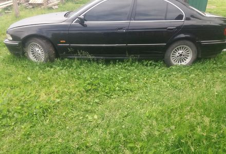 Продам BMW 520 1998 года в Ровно