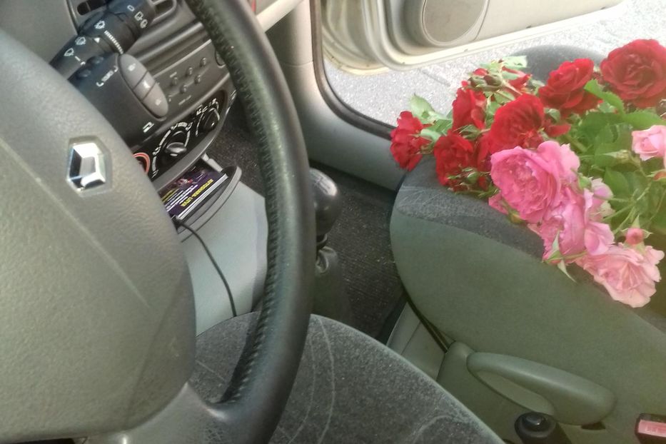 Продам Renault Megane Scenic  2001 года в Киеве