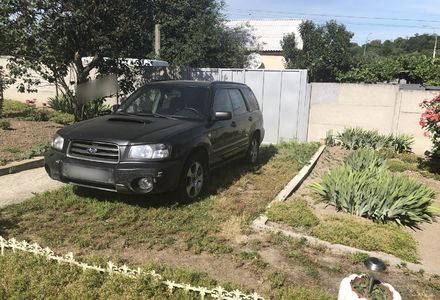 Продам Subaru Forester 2004 года в Киеве