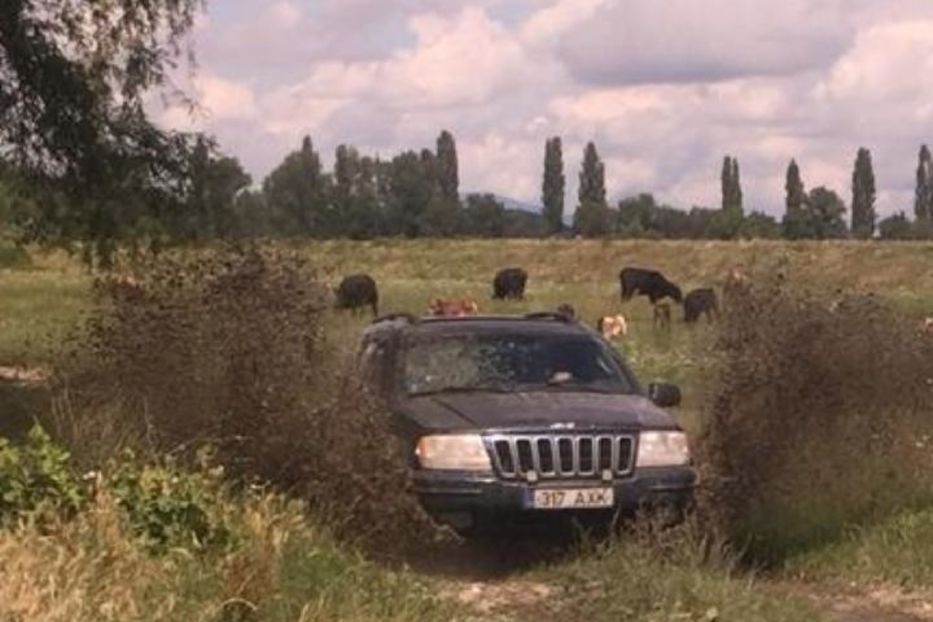 Продам Jeep Grand Cherokee 2002 года в г. Виноградов, Закарпатская область