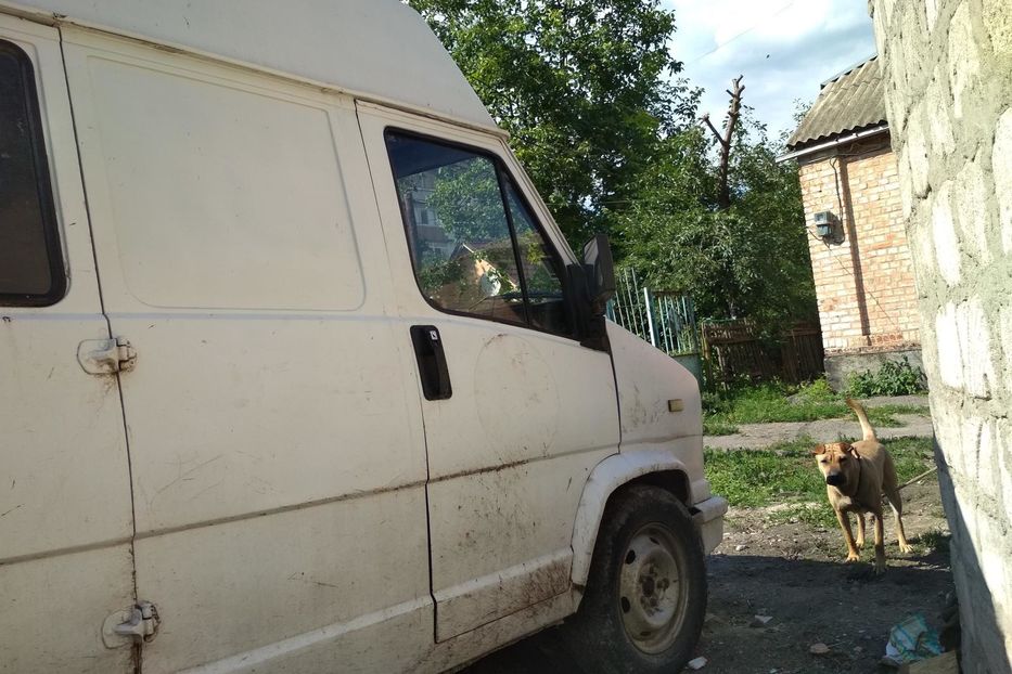 Продам Fiat Ducato груз. 1988 года в г. Казатин, Винницкая область