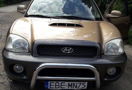 Продам Hyundai Santa FE 2002 года в Хмельницком