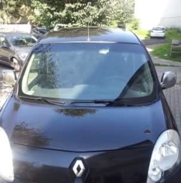 Продам Renault Kangoo пасс. 2009 года в г. Калуш, Ивано-Франковская область