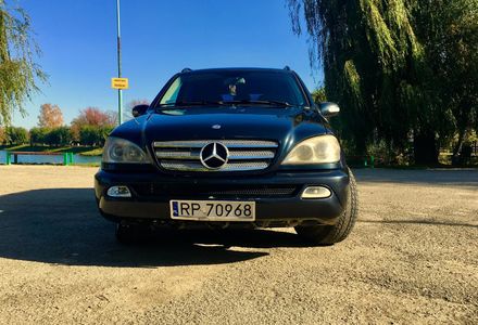 Продам Mercedes-Benz ML 270 2002 года в г. Надвирна, Ивано-Франковская область