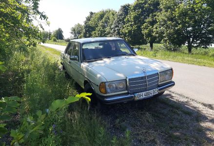 Продам Mercedes-Benz 240 240D 1981 года в г. Кодыма, Одесская область