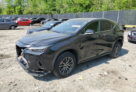 Продам Lexus NX 300 350 2023 года в Киеве