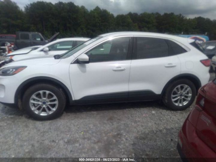 Продам Ford Escape SEL 2020 года в Виннице