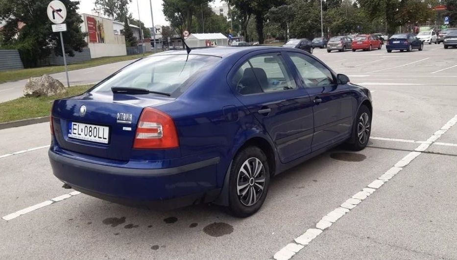Продам Skoda Octavia 1.9 TDI Mith  2006 года в г. Балаклея, Харьковская область