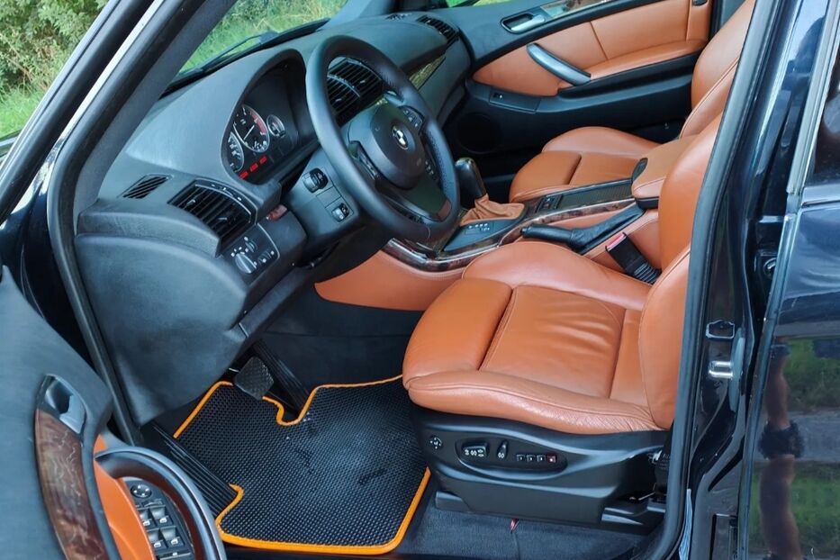 Продам BMW X5 2004 року у м. Данилівка, Дніпропетровська область