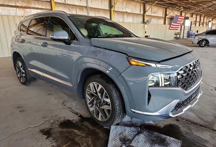 Продам Hyundai Santa FE  Calligraphy 5784 2023 года в Львове