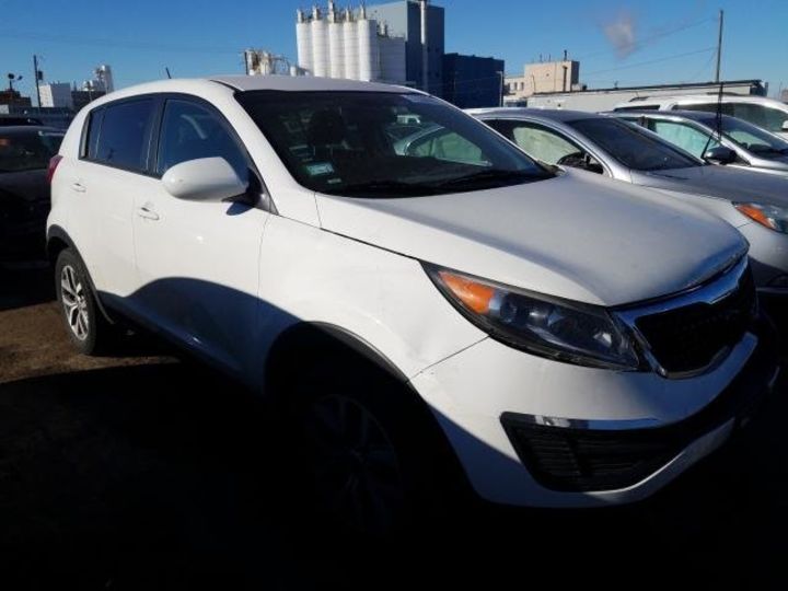 Продам Kia Sportage LX 2016 года в Киеве