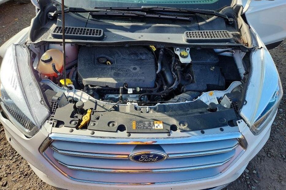 Продам Ford Escape 1.5 бенз, 4х4 2017 року у Житомирі